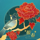 可乐kele