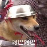 【已注销】