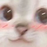 💕