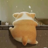 未来可期
