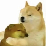 赞赞