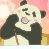 瘸腿柯基