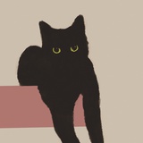 小猫球