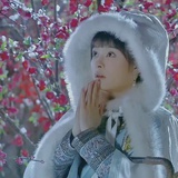 嬛嬛（回宫版