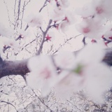 岱巛巛