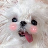 蒜香小肥羊