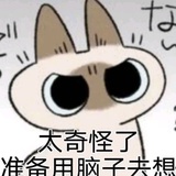 游啊游