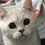豆友163958403