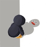 飞鸟