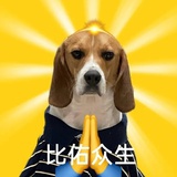 小土狗（学习版
