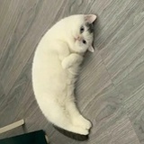红绿灯