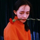 柚子菠萝蜜干