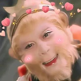 路上两只灰白条