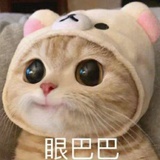 www