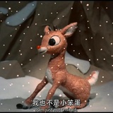 大大大大大铁锤