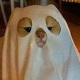 桃子冰美式