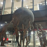 一米鬼马