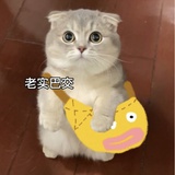 念念不忘
