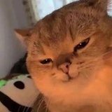 独门绝药