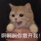 半岛饭盒