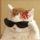 好运来✨