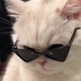 morning猫宁