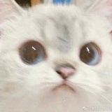 侏儒怪