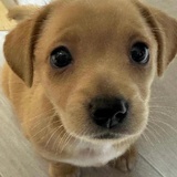 单女的生活哲学