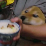 真的无语