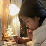 段LinH