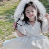 阳光彩虹小白马