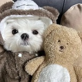 江直树