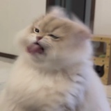 兜1