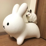 挂着的小金桔