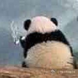 金针菇塞牙