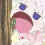 没有