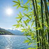 月