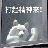 请打起精神！