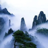 青木