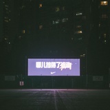 太上忘情