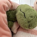 不吃lonely鱼鱼