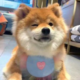 青山入我怀