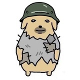 铁打大蟑螂