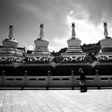 小牛