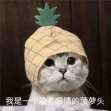 苏醒的逗逗