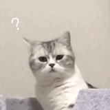 已注销
