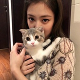我去注销了