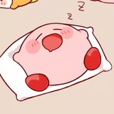 多肉葡萄