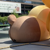 菜里没有EDU