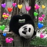 热爱吃西瓜🍉